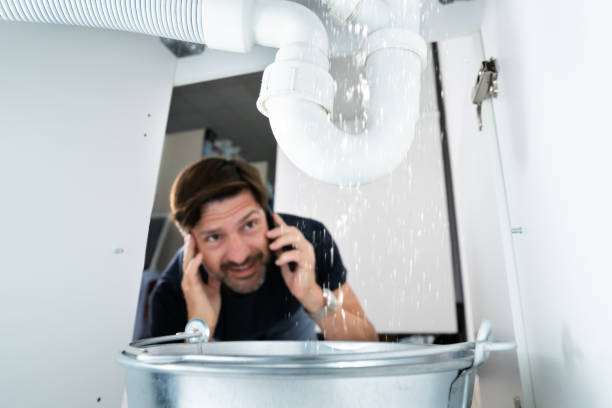 Best Local Plumber Services  in Tri Lakes, IN